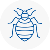 Bed Bug Extermination In Se13