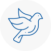 Bird Prevention Se13