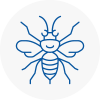 Se13 Hornet Nest Removals