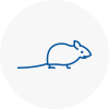 Mice Exterminators In Se13