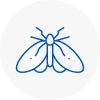 Moth Control Specialists In Se13