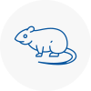 Rat Control Se13