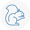 Se13 Rodent Removals