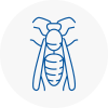 Se13 Wasp Nest Removal
